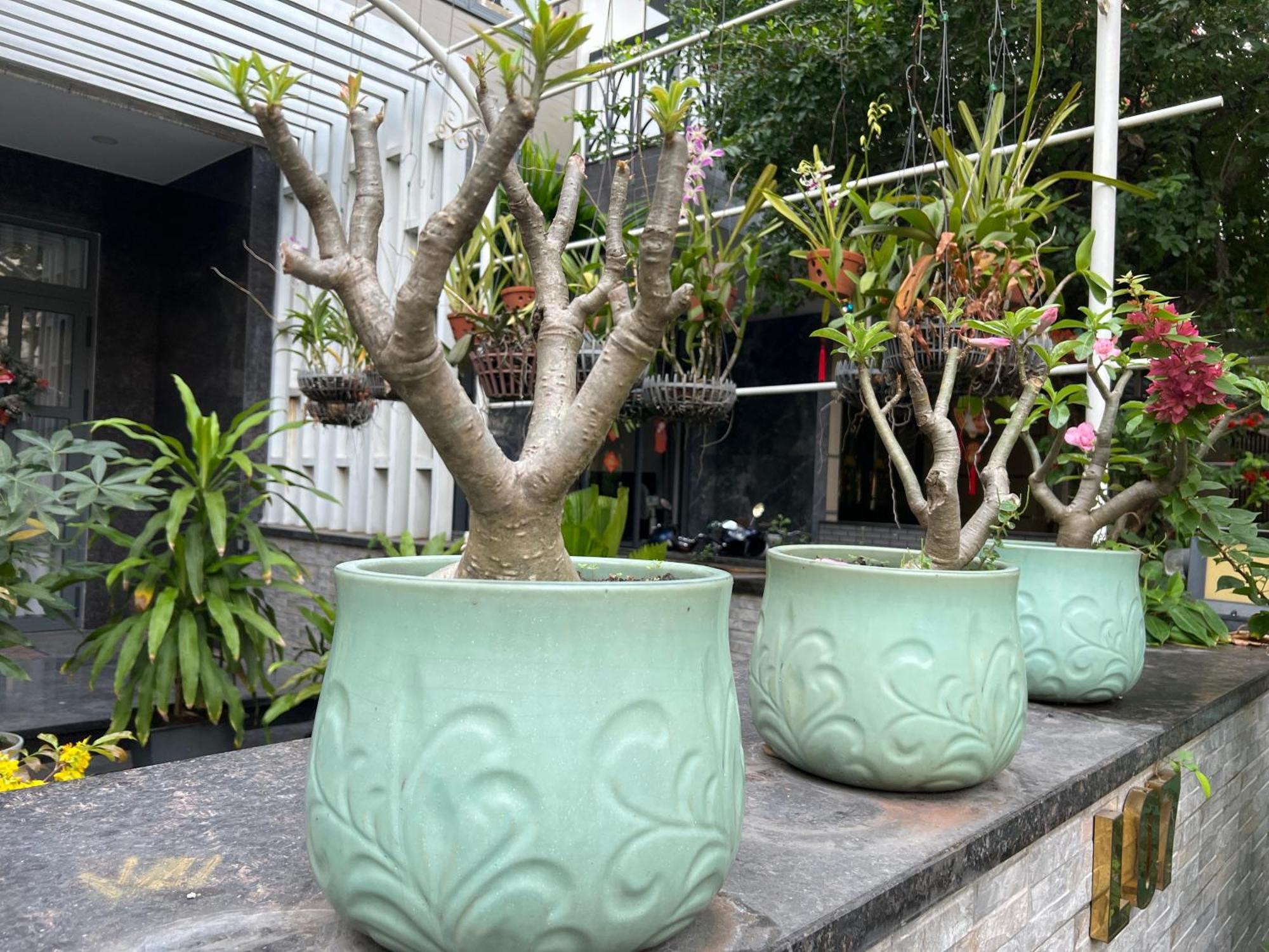Home Resort With Full Amenities โฮจิมินห์ซิตี้ ภายนอก รูปภาพ
